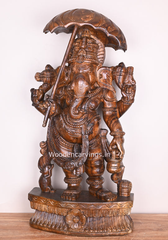 Umbrella Maha Ganapathi Standing on Base and Holding Kamandalam in His Hand Polished Sculpture 38"