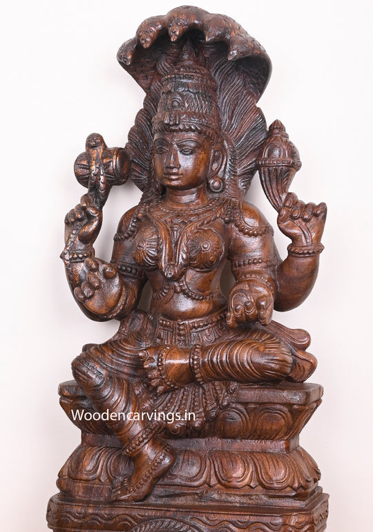 Powerful Female Goddess Naga Rani Briskly Seated on Base Wooden Handmade Wax brown Sculpture 26"