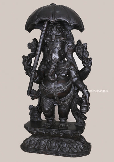 Dark Black Standing Chatra (Umbrella) Ganapathy Holding Kamandalu (Water Pot) Wooden Handmade Sculpture 36"