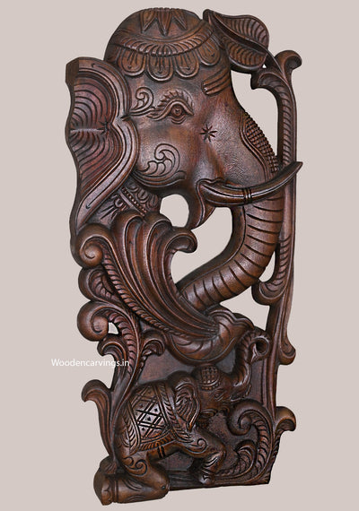 Vertical Hooks Fixed Elephant Face Carved Wooden Wax Brown Finishing Light Weight Wall Mount 24"