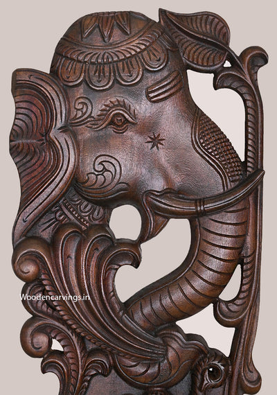 Vertical Hooks Fixed Elephant Face Carved Wooden Wax Brown Finishing Light Weight Wall Mount 24"