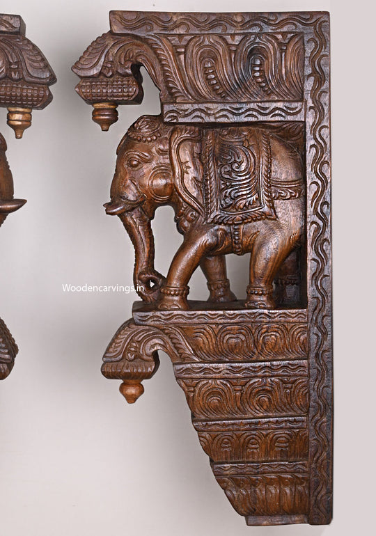 Standing Paired Dome Fixed Elephants With Fine Wax Brown Finishing Wall Hanging Hooks Fixed Wall Brackets 24"