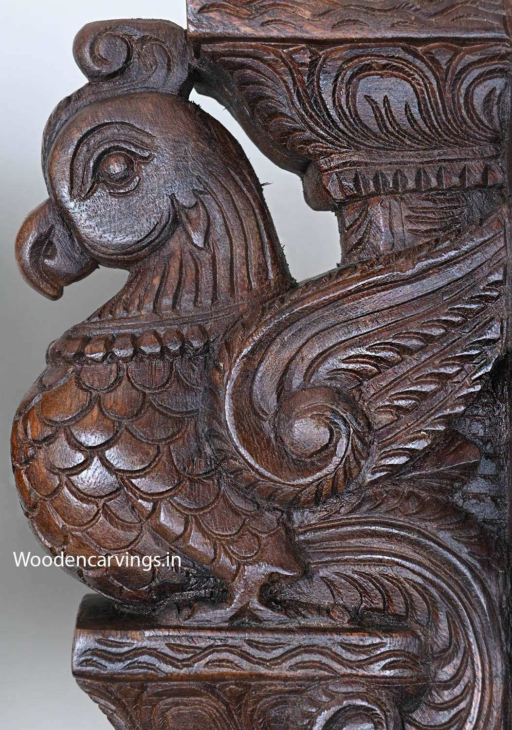 Light Weight Unique Handcarved Standing Parrots Standing on Dome Fixed Art Base Work Wall Hanging Wooden Brackets 15.5"