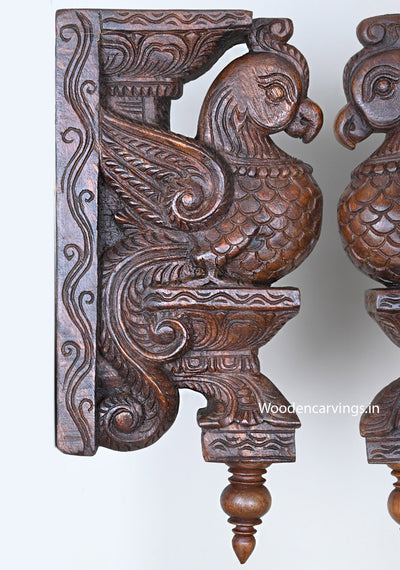 Light Weight Unique Handcarved Standing Parrots Standing on Dome Fixed Art Base Work Wall Hanging Wooden Brackets 15.5"