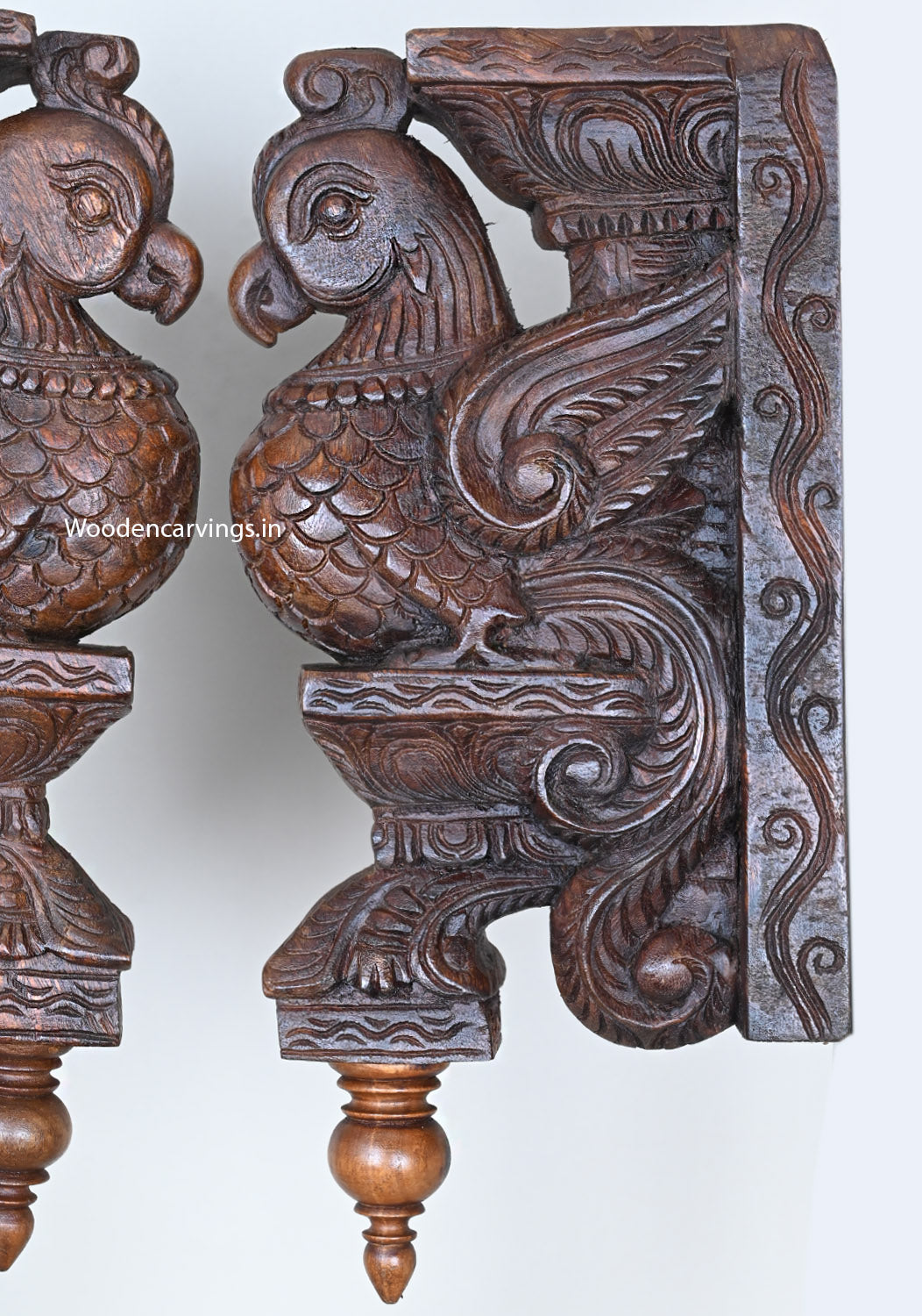 Light Weight Unique Handcarved Standing Parrots Standing on Dome Fixed Art Base Work Wall Hanging Wooden Brackets 15.5"