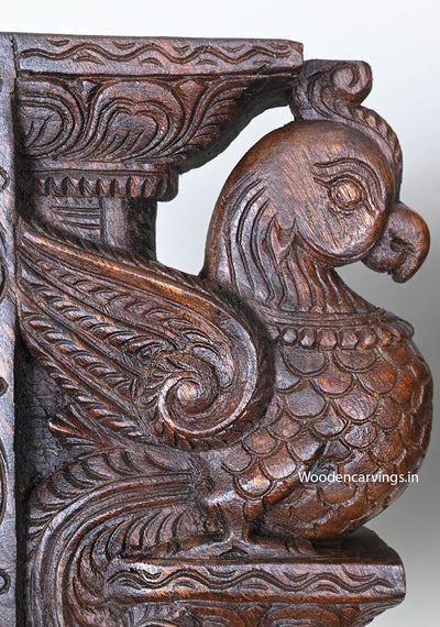 Light Weight Unique Handcarved Standing Parrots Standing on Dome Fixed Art Base Work Wall Hanging Wooden Brackets 15.5"