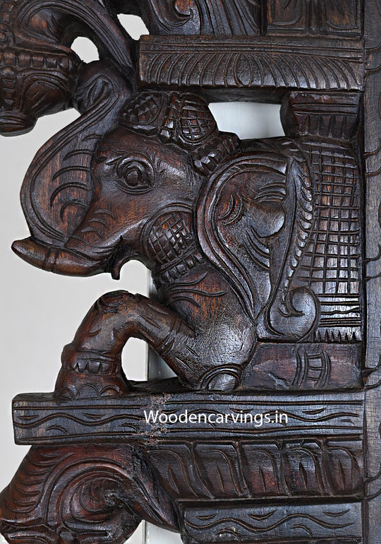 Light Weight Pair of Upraised Elephants With Standing Parrots Hooks Fixed Wooden Wall Decoration Beautiful Wall Brackets 15"