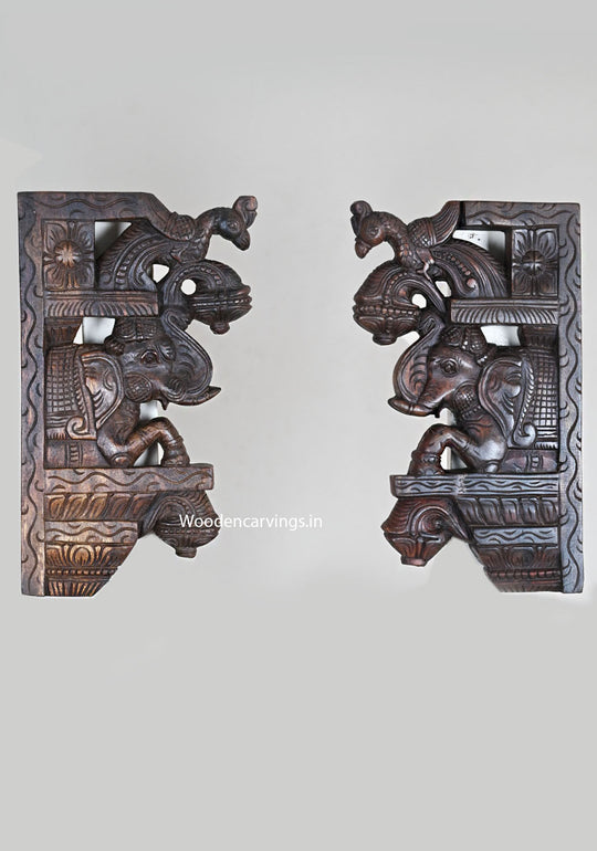 Light Weight Pair of Upraised Elephants With Standing Parrots Hooks Fixed Wooden Wall Decoration Beautiful Wall Brackets 15"