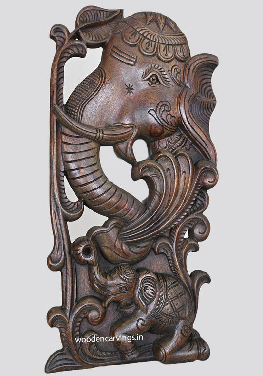 Vertical Wooden Elephant Hooks Fixed Wall Hanging Handmade Beautiful Artwork Wax Brown Finishing Wall Mount 24"