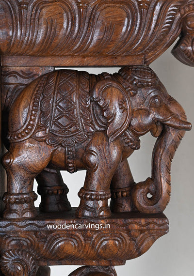 Standing Elephants & Hamsa Bird Wooden Wall Brackets 24"