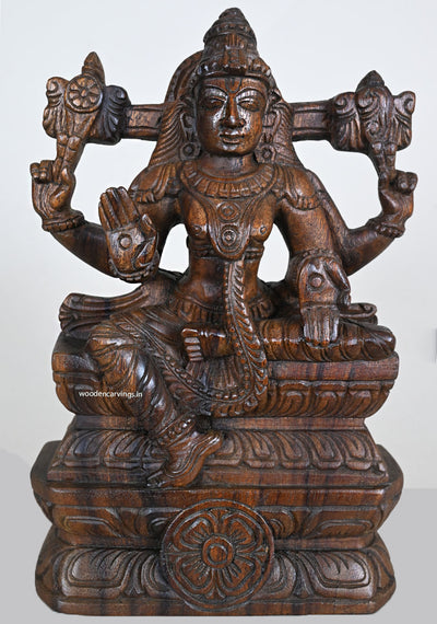 Wood Blessing Lord Vishnu Light Weight Sculpture 12"