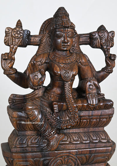 Wood Blessing Lord Vishnu Light Weight Sculpture 12"