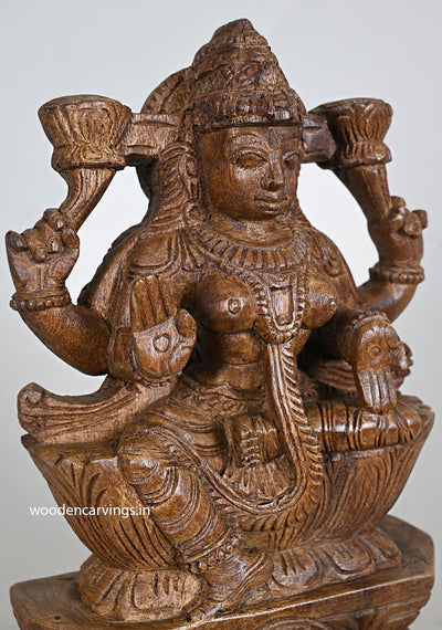 Prosperity Goddess Lakshmi Wood Sculpture 12"