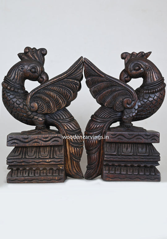 Standing Pair of Peacocks Light Weight Showpiece Sculpture 13"