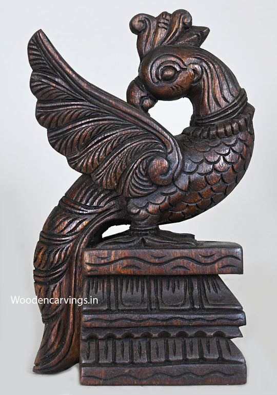 Standing Pair of Peacocks Light Weight Showpiece Sculpture 13"