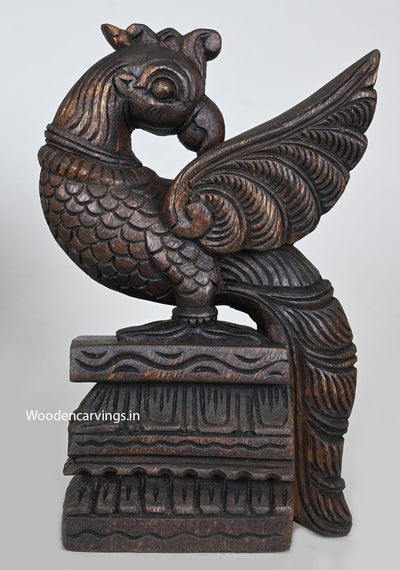 Standing Pair of Peacocks Light Weight Showpiece Sculpture 13"