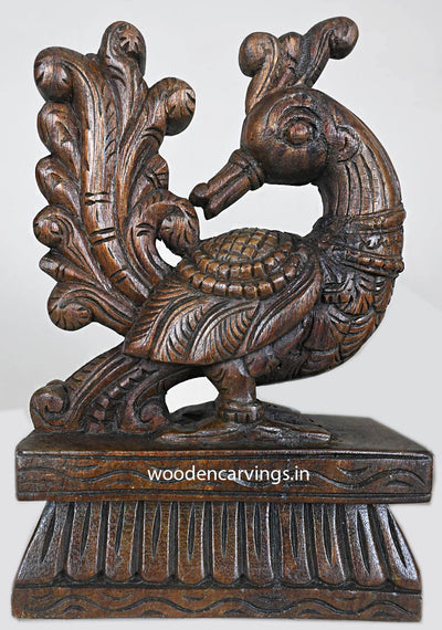 Decorative Standing Bird Annapakshi Wooden Sculpture 12"